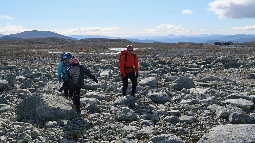 Flat anmars innover mot Snøhettamassivet
