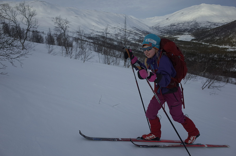 Oppover skogen frå Sota