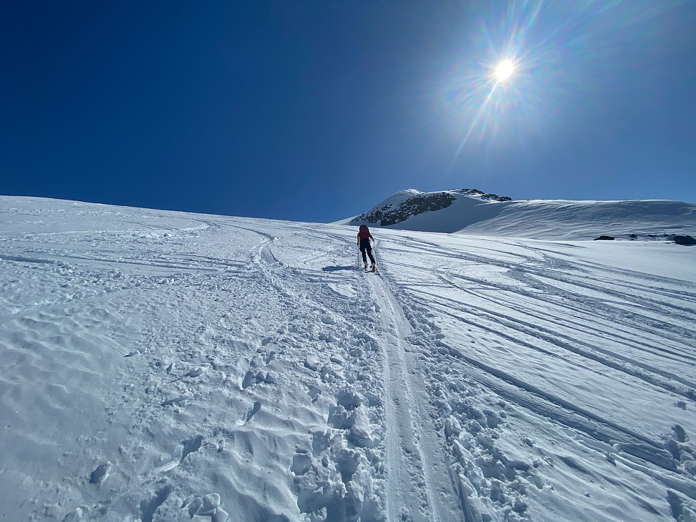 Oppover breen
