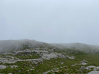 Lizzi_20210626_60d72ead65917.jpg