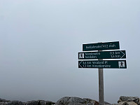 Lizzi_20210626_60d72eae0a84e.jpg