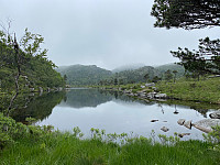 Lizzi_20210626_60d72eaf624f1.jpg