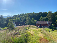 Lizzi_20210627_60d8afd4130ff.jpg