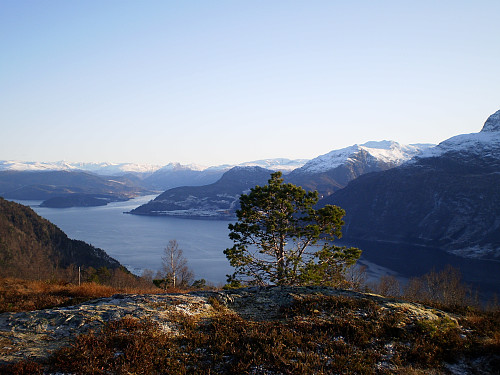 Frå Veten