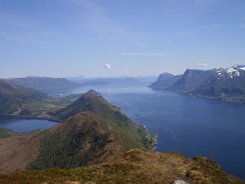 Kongsvollen