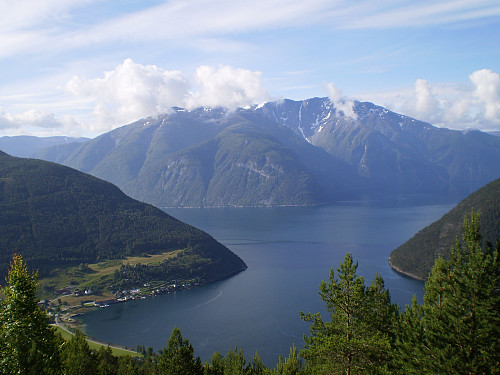 Hauståkernakken