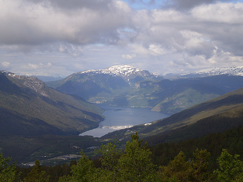 Vardaheii