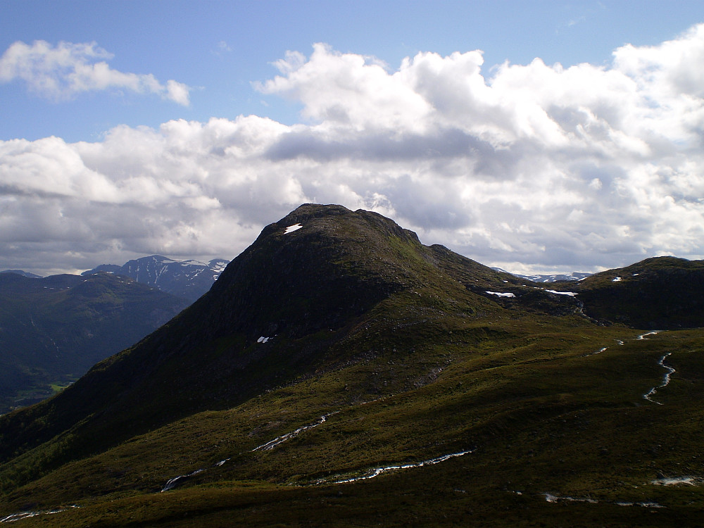 Middagshornet