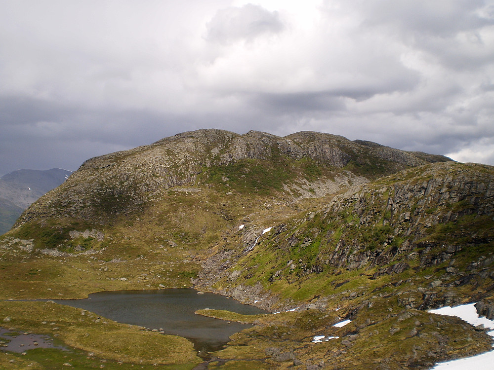 Middagshornet