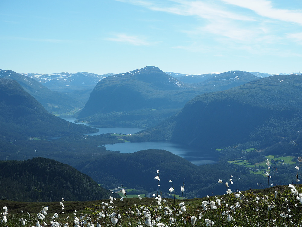 Frå høgste punktet. 