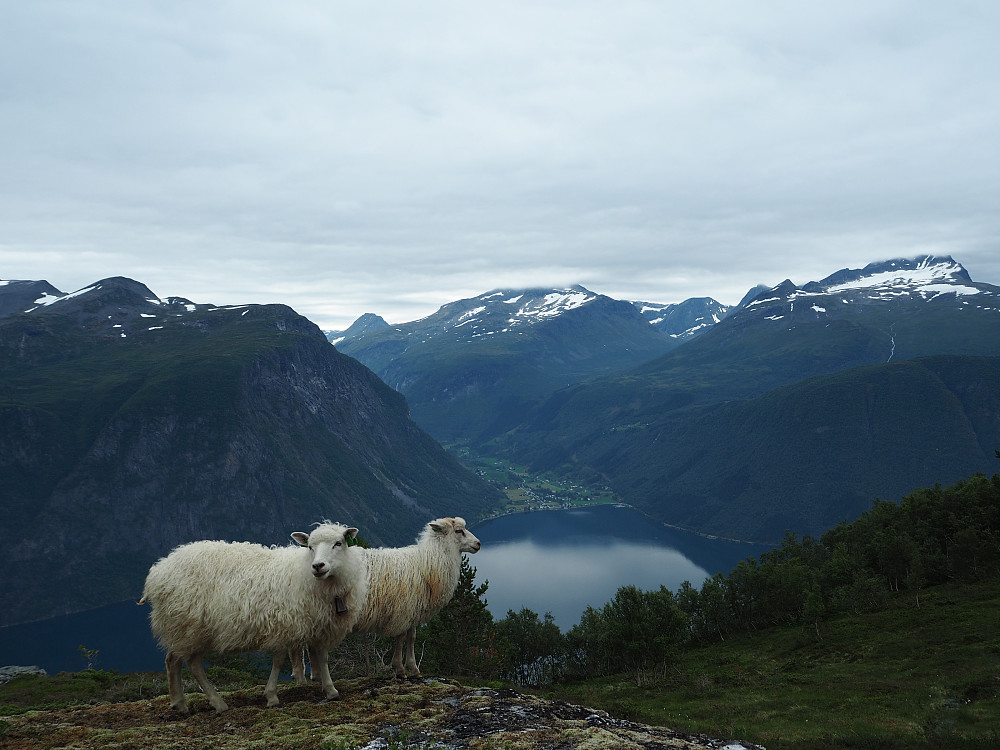 Norddalsfjorden
