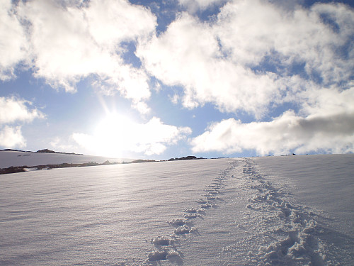 Kjekt med nysnø ned att:)
