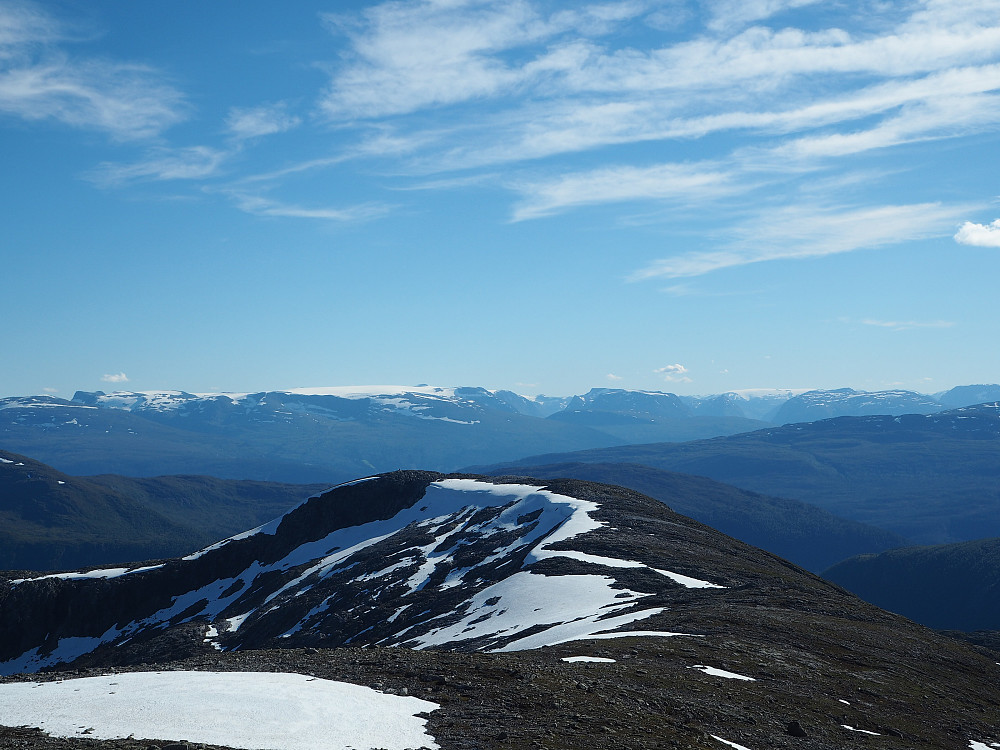 Høgenibba