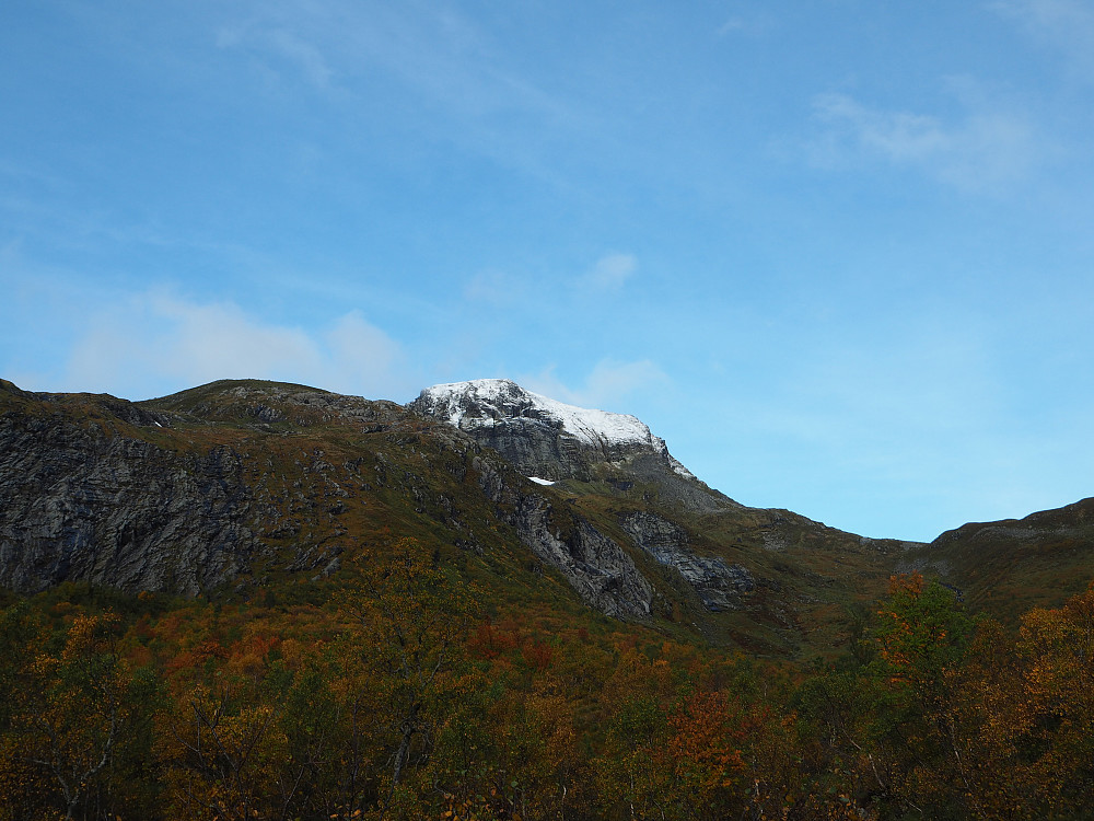 Felden med eit dryss nysnø på toppen. Følgde ein sti/eit dyretrakk langs elva innover Laurdalen. 