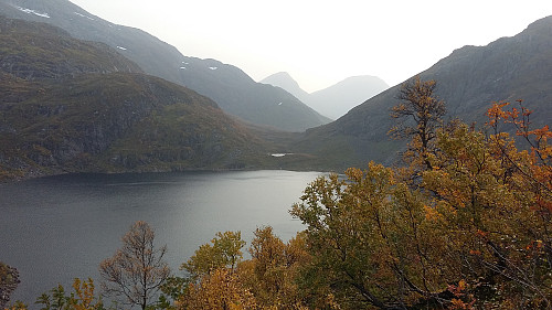 God sti opp til Heimste Rinddalsvatnet. Skrådde oppover mot Skardhornet frå demninga. Ein del ur og bjørkekratt i starten, men vart lettare å gå etter kvart. 