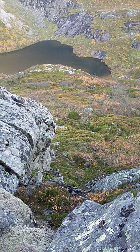 Kom ned att frå Skardhornet mellom dei to Rinddalsvatna, følgde stien eit stykke. Det frista ikkje å gå opp gjennom kratt og ur til Humpen. Så eg følgde eit dyretrakk nesten til Varelivatnet før eg gjekk oppover mot Humpen. 