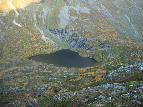 Varelivatnet. Fann ei grei rute ned att frå Humpen, men frå vatnet tilbake til stien var det mykje bjørkekratt.
