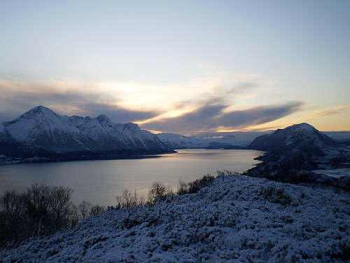 Vartdalsfjorden