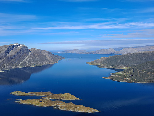 Frå Gulebrystet