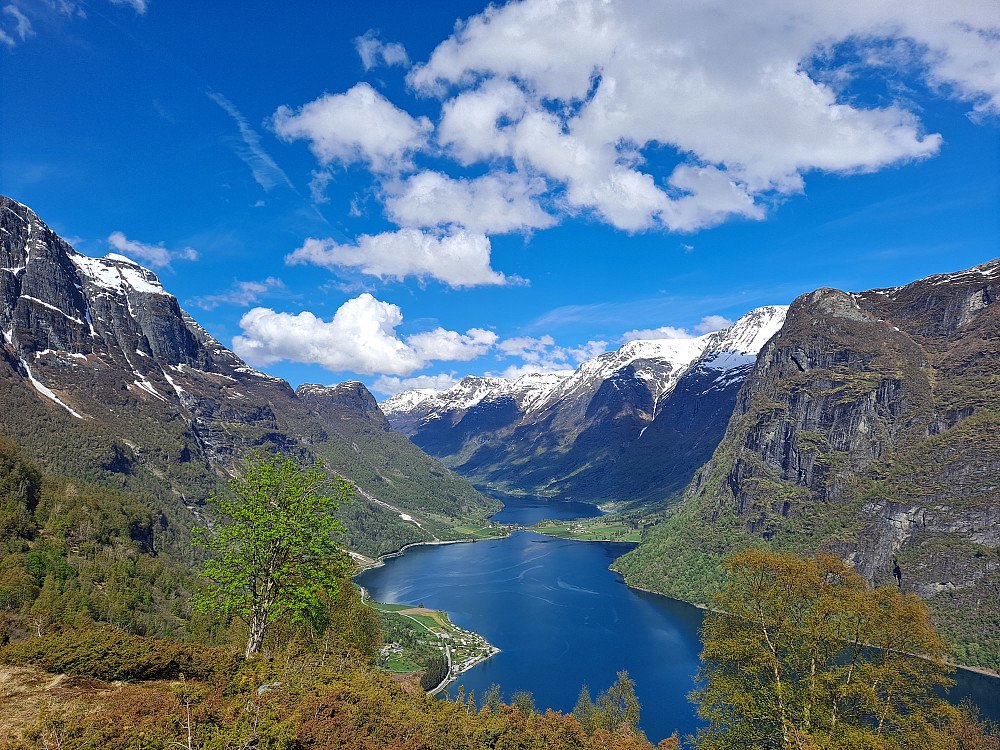 Frå Yriskåla