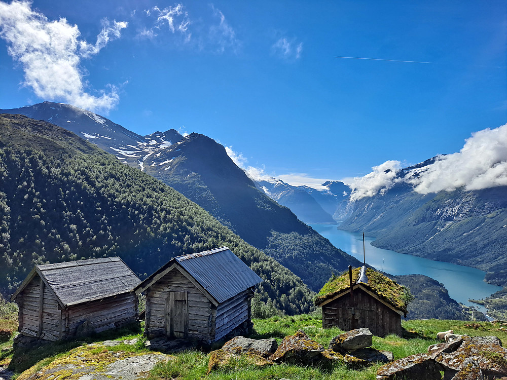 Lohøgesætra med Skåla og Lovatnet bak