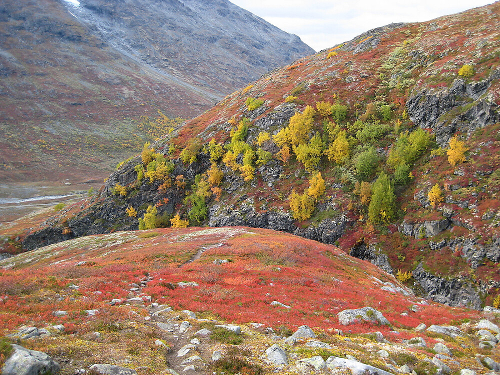Nydelige høstfarger i Leirdalen ved Søre Illåe kl 1815