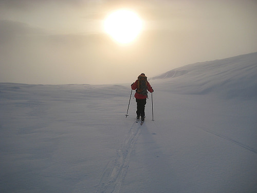 På tilbaketur fra Høgafjellet