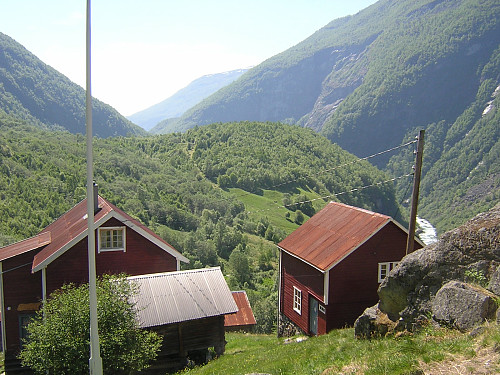 Vetti gard