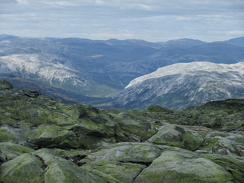 Foto mot Mjølfjell/Ljosandalen. NV toppen på Mjølfjellet til hø. Foto Helge Titland