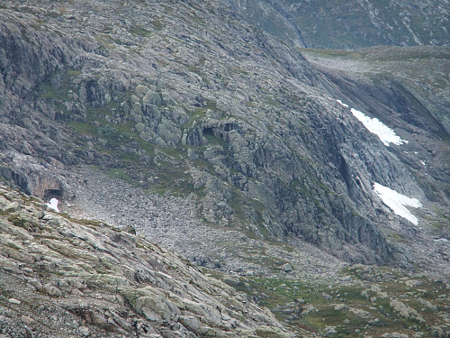 Det svarte punktet midt i bildet er et gammelt bjørnehi! Foto: Helge Titland