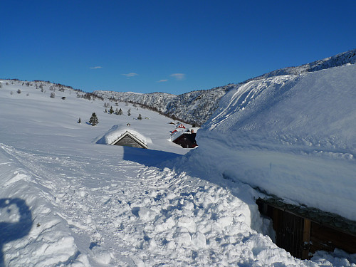 Helgaset på Voss. Kan ikke klage på snødybden!