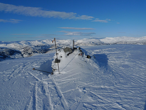 Skorseteggi. Utsikt nordover