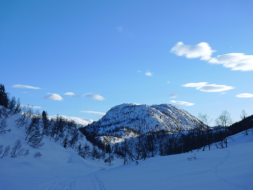 Lauvhovden 815 fra Langedalen ved Grauestølen