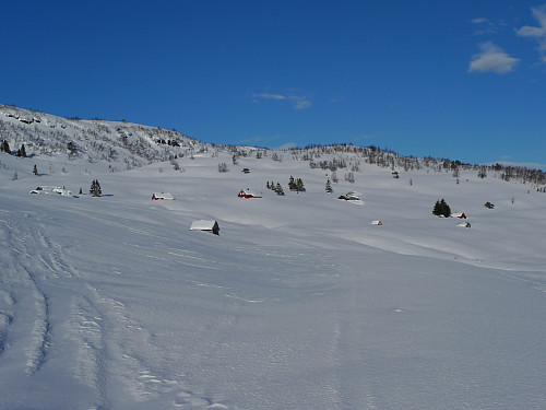 Nydelig på Helgaset!