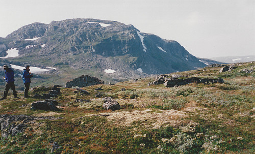 Gravhalsen Fjellstue med Sauafjellet i bakgrunnen