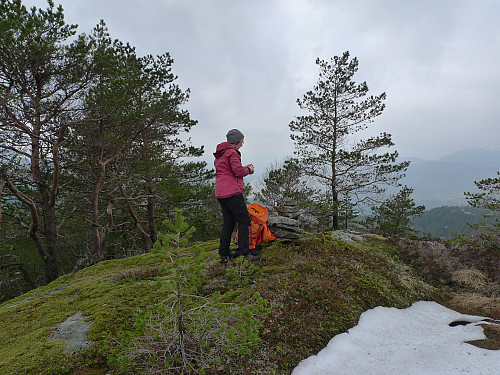 Astrid på Raunelifjellet