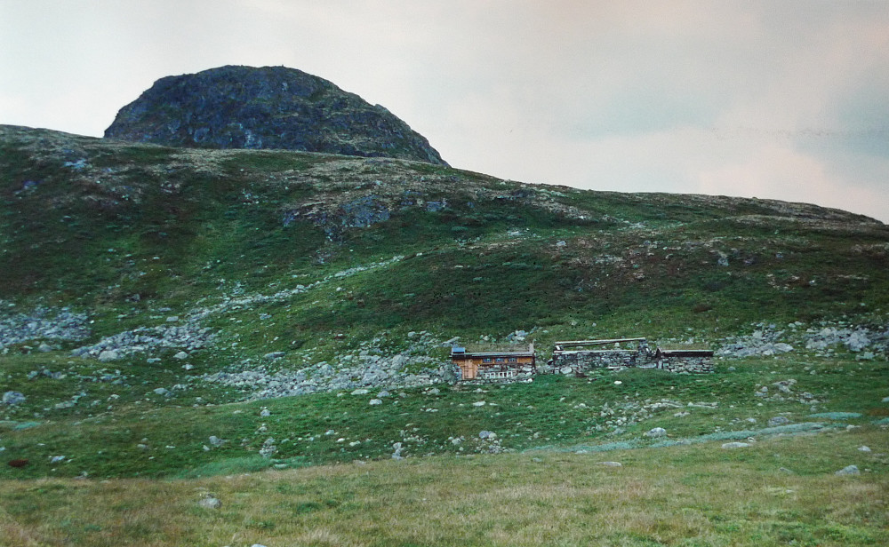 Tørvenuten og Tyrva seter