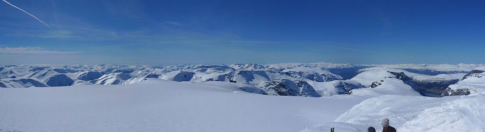 Panorama mot VNV. Fra venstre bl.a. Grovabreen, Blægja, Ålfotbreen og Gjegnen med Hyenfjorden (?)foran