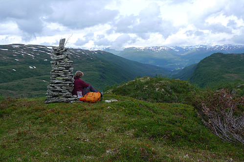 Nordover Langedalen mot Oppheim