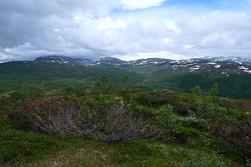 Utsikt østover mot Fyrjo. Fra venstre Storanovi 1205 i tåke, Bjørnafjellet 1210 og Vardafjellet 1113