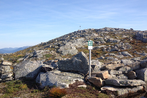 Høyeste punkt i Ålesund enten ved skiltet ....