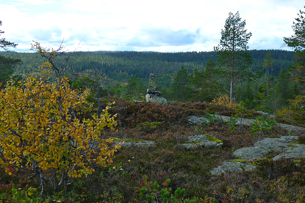 Fine høstfarger på toppen av SØ for Bjørnkollen 