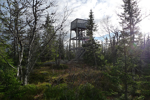 Tårnet på Svarttjernshøgda