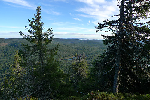 Utsikt mot SØ fra ryggen sør for toppen