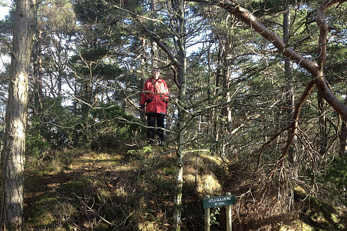 Astrid på toppen av Vetla Gullberg