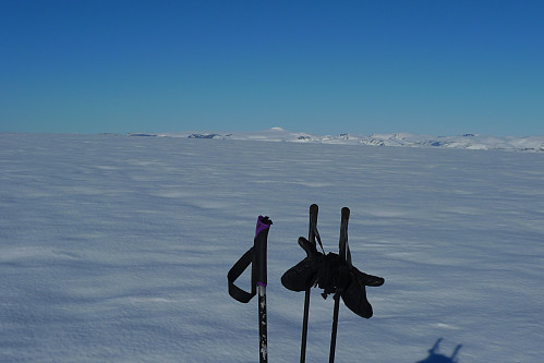 Her skimtes Snønipa i bakgrunnen