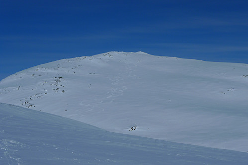 Fine rando-spor etter mine forgjengere ned SV-flanken av Larsfonnfjellet