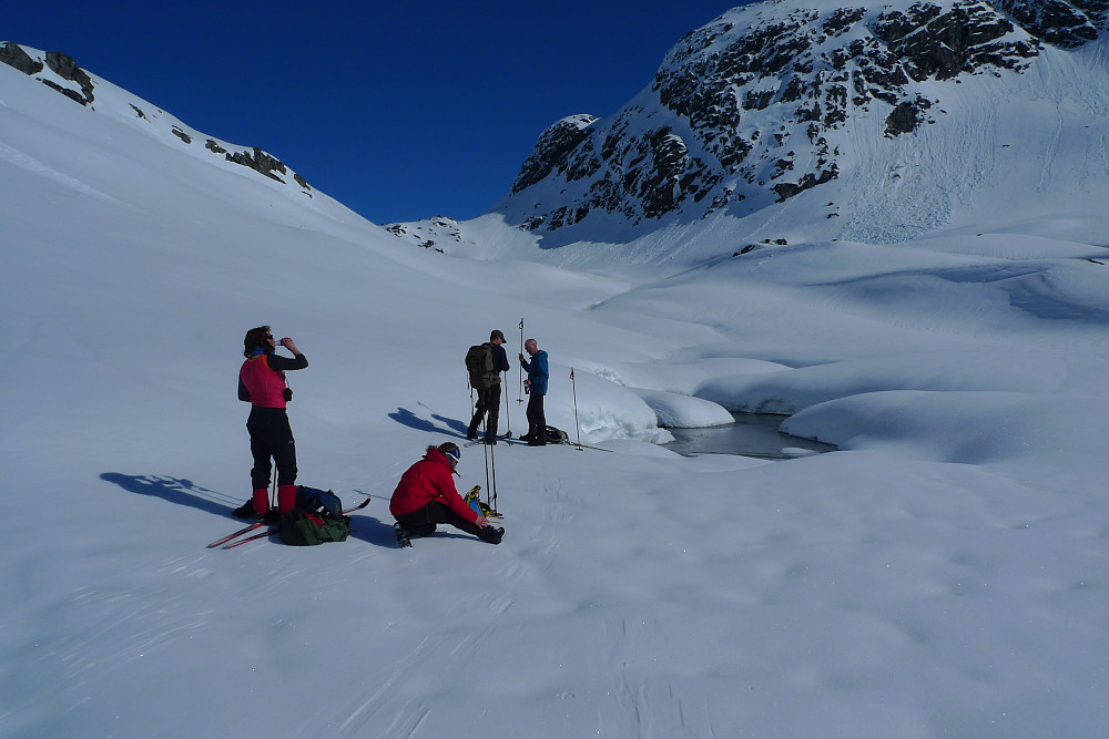 Pause ved NØ-enden av Skarvedalsvatnet