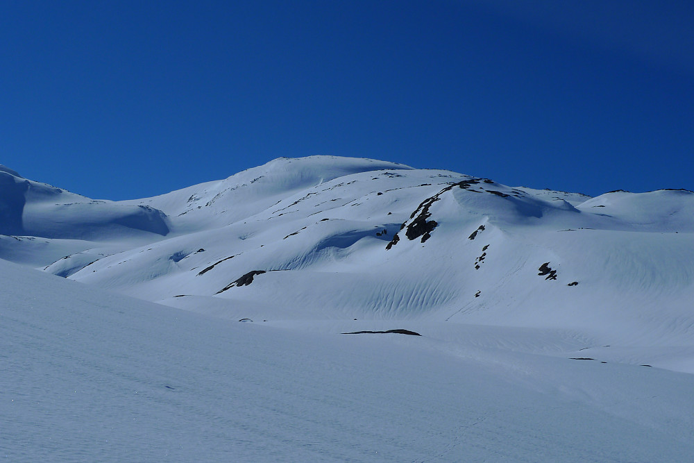 Mot  NØ-ryggen av Pallefjellet. Geitebotsfjellet i bakgrunnen