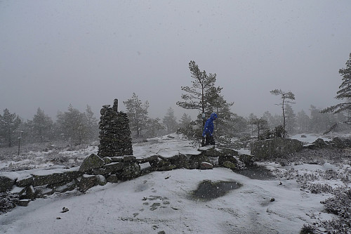 Vinter og gråvær på Broneheia